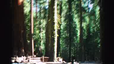 Lake Tahoe California (1969): Fun Hot Very Big And Go Far To Different Stop To Get
