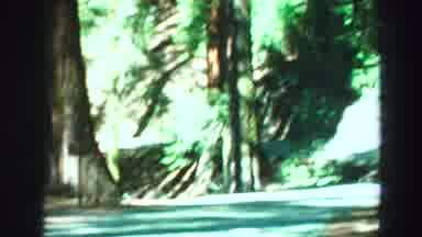 Lake Tahoe California (1969): Shakey Shot Struggles To Capture The Scenery Of The