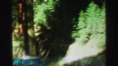 Lake Tahoe California (1969): Playing In The Yard