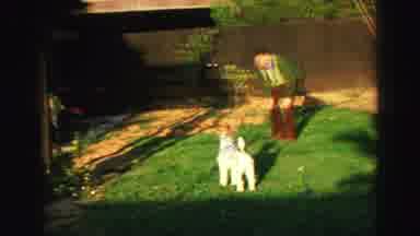 Lake Tahoe California (1969): Man In Backyard Staring At Shaggy White Dog The