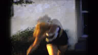 Who needs a beach body when you can have a yard cartwheel body?