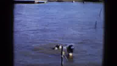 Disneyland California (1959): Fun Day At The Lake With Friends