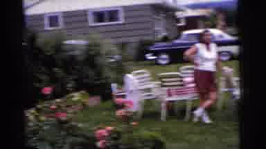 Gary Indiana USA (1961): The Dog Is Walking All Through The Yard On My Lawn