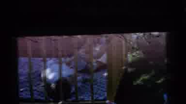 Gary Indiana USA (1961): One Baby Smiling Outside In A Cot And Another Being