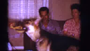 Clarkdale Arizona (1966): Person Teases German Shepherd Dog With Yellow Object