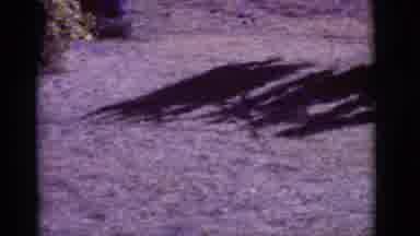 Clarkdale Arizona (1966): A Dog Running Toward Van That Is Standing On Top Of Hill