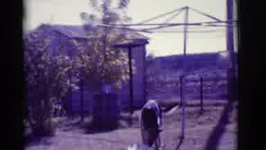Clarkdale Arizona (1966): Dog Enjoying Country Living Eating Some Good Vittles On