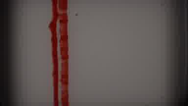 Clarkdale Arizona (1966): Initial Blank Video Roll Before The Video Of A Lady