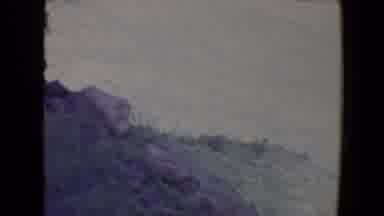 Flagstaff Arizona USA (1967): Vintage Green Video Of Mountainside Hill Sloping