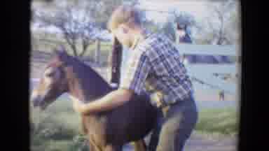 Flagstaff Arizona USA (1967): A Young Man On A Farm Steadies And Calms A Foal