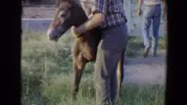Flagstaff Arizona USA (1967): A Man Is Walking Up To And Holding A Baby Brown