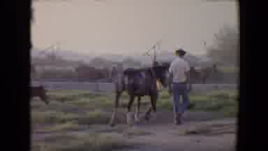 Flagstaff Arizona USA (1967): Man Wearing White Shirt Walks With Pair Of Grey
