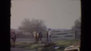 Flagstaff Arizona USA (1967): Footage Shows A Pony And Some Horses Walking Around