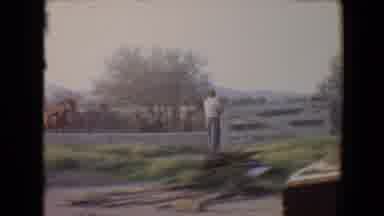 Flagstaff Arizona USA (1967): Horses Playing In A Wild Farm During Day Break With