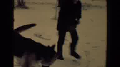 Flagstaff Arizona USA (1967): Child Playing Outside On The Snow With A Dog And
