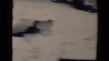 Flagstaff Arizona USA (1967): Two People Outside On Snow Falling From Dog Playing