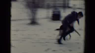 Flagstaff Arizona USA (1967): German Shepherd Being Trained To Take Down Criminals