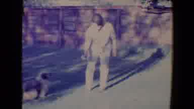 Tucson Arizona USA (1967): Grandma Playing Fetch With Her Dog