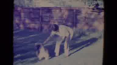 Tucson Arizona USA (1967): Man Plays With A Fluffy Dog In His Fenced Back Yard