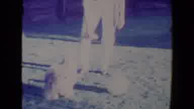 Tucson Arizona USA (1967): Woman Plays Outside With Her Dog While He Jumps Up For