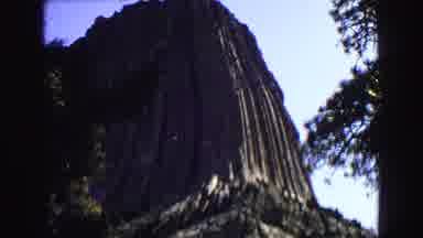 Yellowstone Wyoming USA (1967): Landscape Of Tall Trees And Height Of Devil's