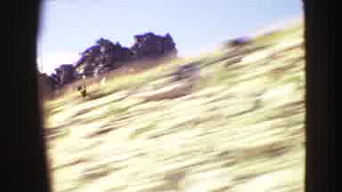 Yellowstone Wyoming USA (1967): A Road Trip Along A Desert Area