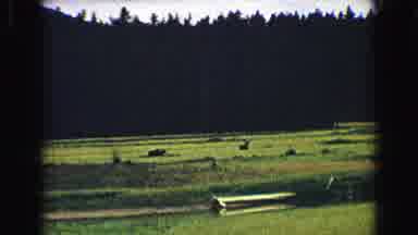Yellowstone Wyoming USA (1967): Cars Over The Mountain Road Near De The Sea And A