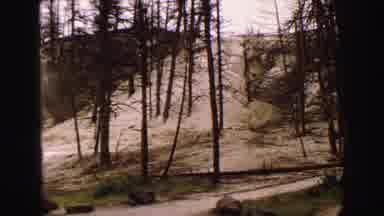 Yellowstone Wyoming USA (1967): View Of Trees Without A Lot Of Leaves Near A Steep