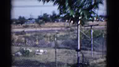 Cottonwood Arizona (1968): An Outdoor Adventure Like Never Before With Animals And