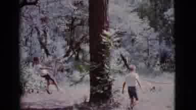 Cottonwood Arizona (1968): Two Boys Playing On A Rope Hung From A Branch Of A Very