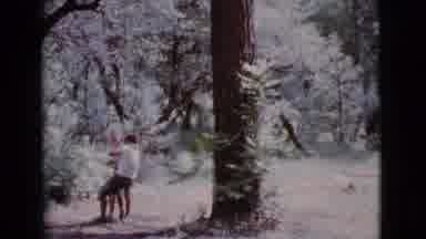 Cottonwood Arizona (1968): A Lovely Older Couple Playing On A Nostalgic Tree Swing