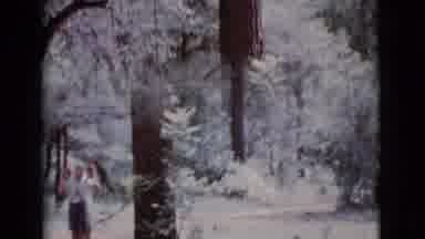 Cottonwood Arizona (1968): Two Boys Play On A Rope Swing Attached To A Big Tree In