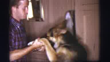 Cottonwood Arizona (1968): Dog A Man's Best Friend For Life No Matter What Life