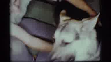 Cottonwood Arizona (1968): Men, Play With Their Dog Inside Their Residence With