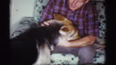 Cottonwood Arizona (1968): Man Wearing Grey Pants Pets German Shepherd Dog While