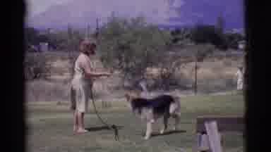 Cottonwood Arizona (1968): Woman Outside Giving Water To Dog With Hose And A Child
