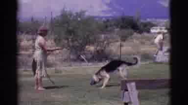 Cottonwood Arizona (1968): Dog Playing In Hose Water