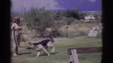 Cottonwood Arizona (1968): Woman Plays With Her Dog In The Garden While She Waters