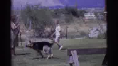 Cottonwood Arizona (1968): Dog Chasing Water From A Hose In A Yard With A Woman