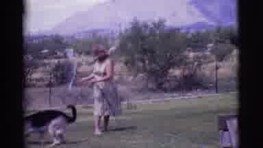 Cottonwood Arizona (1968): Woman Wearing White Dress Teases German Shepherd Dog