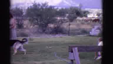 Cottonwood Arizona (1968): Woman Playing With German Shepherd Dog With Hose