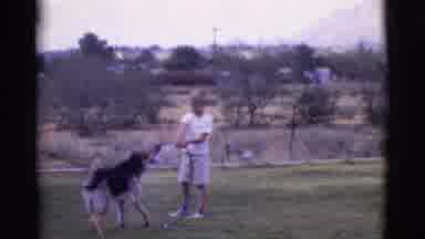 Cottonwood Arizona (1968): Boy Wearing White Shirt Sprays German Shepherd Dog With