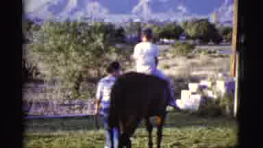 Cottonwood Arizona (1968): Horses Can Be A Great Pet Whether Walking Them Or