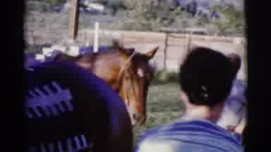 Cottonwood Arizona (1968): Woman Wearing Yellow Hair Ribbon Pits Saddle On Brown