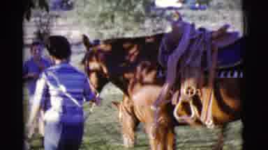 Cottonwood Arizona (1968): Three Boys In An Open Field With A Big Brown Horse