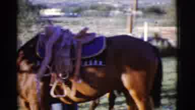 Cottonwood Arizona (1968): People Standing Outside With A Horse Wearing A Saddle