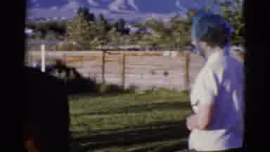 Cottonwood Arizona (1968): Adults And Children Outdoors With Two Horses