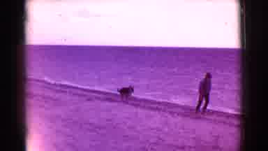 Cottonwood Arizona (1968): Boy Runs With Dog On Beach On A Sunny Day
