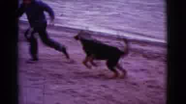Cottonwood Arizona (1968): Dog Chases Boy Across Beach As Waves Hit The Shore