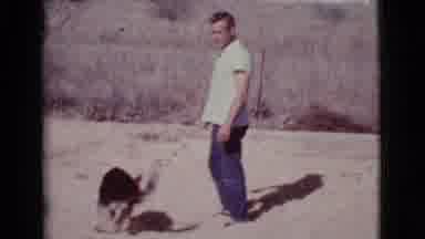 Cottonwood Arizona (1968): Man Playing With His German Shepherd Dog In The Dog